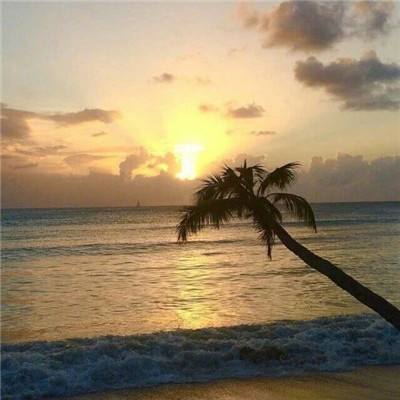 半岛·综合手机app下载